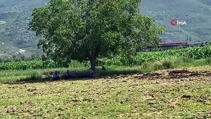 Yaşlı kadının cesedi ölümünden günler sonra bulundu