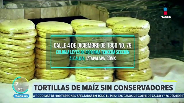 Emprendedores crean tortillas de maíz sin conservadores a gran escala