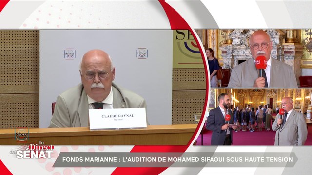 Claude Raynal : Je crois que M Sifaoui voulait en profiter pour faire passer des messages