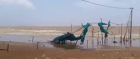 SURAT VIDEO NEWS : 16 से अधिक पेड गिरे, कई इलाकों में हुई हल्की बारिश