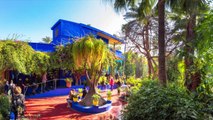 Pénétrez dans le jardin Majorelle, véritable joyau naturel du Maroc