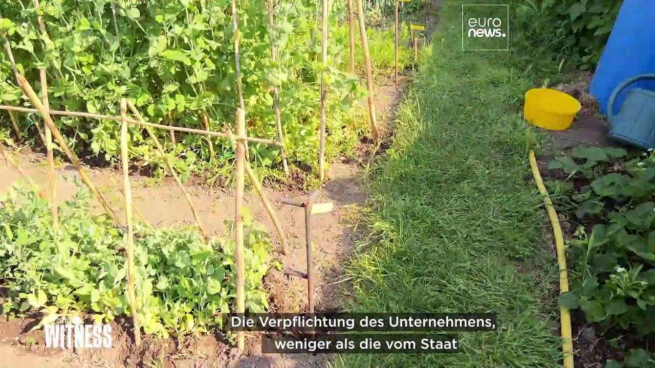 Wasserknappheit in der auvergne: ist danone zu maßlos?