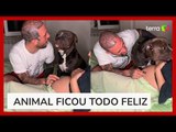 Cão demonstra alegria ao escutar bebê na barriga da tutora