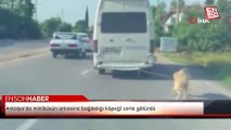 Antalya’da minibüsün arkasına bağladığı köpeği zorla götürdü