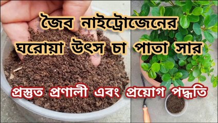 চা পাতা সার এর ব্যবহার ও গুনাগুন ।।  Tea Leaves Fertilizer