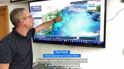 Le notizie del giorno | 15 giugno - Serale