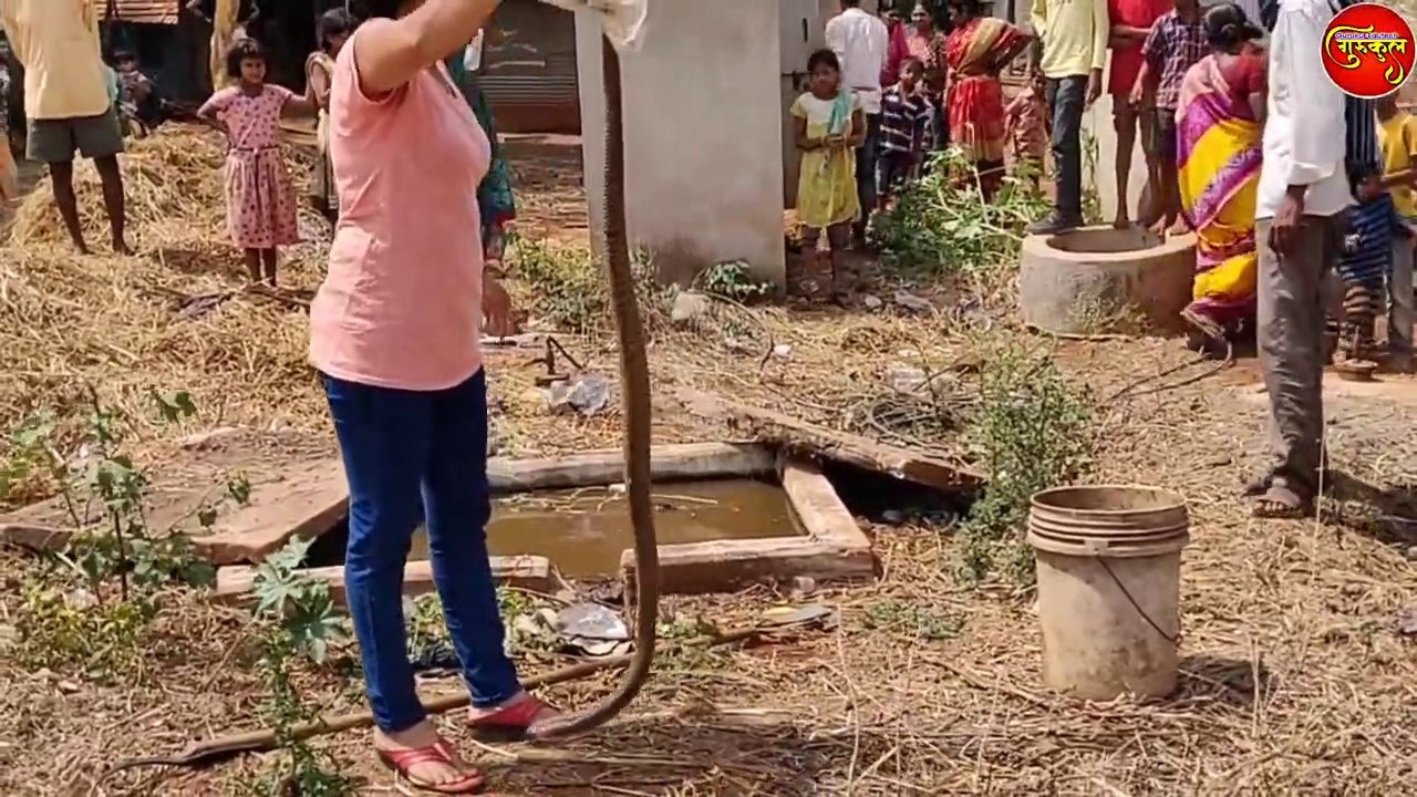 People helped otherwise the rescue of this snake was very difficult.. Nirzaraka snake rescue..