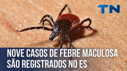 Nove casos de febre maculosa são registrados no ES