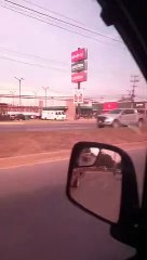 Catracho lleva a su perrito en el techo del carro