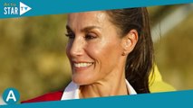 Letizia d'Espagne en pleine mission à l'autre bout du monde : son passé refait surface