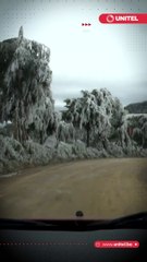 Descargar video: Lluvias, heladas y nevadas: el clima golpea la producción agrícola en el país