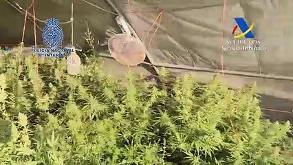 Operación Airborne de la Policía Nacional