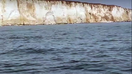 Sussex Boat Trips Dolphin sighting