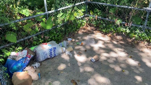 Pembrokeshire streets strewn with litter
