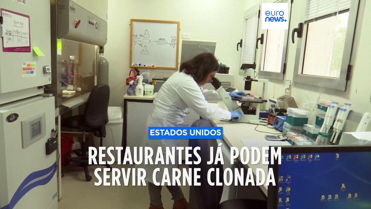 "A realização de um sonho". Carne clonada já pode ser vendida em restaurantes dos EUA