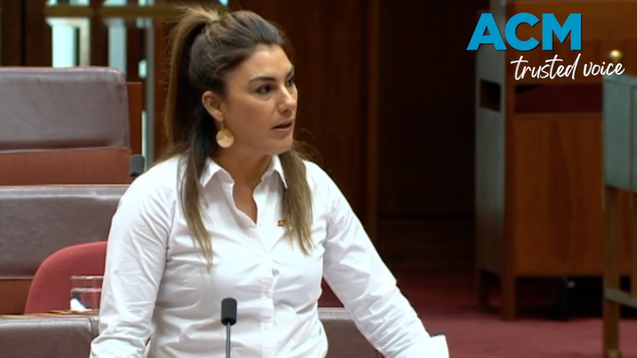 Senator Lidia Thorpe shares message of support for victims of gender-based violence