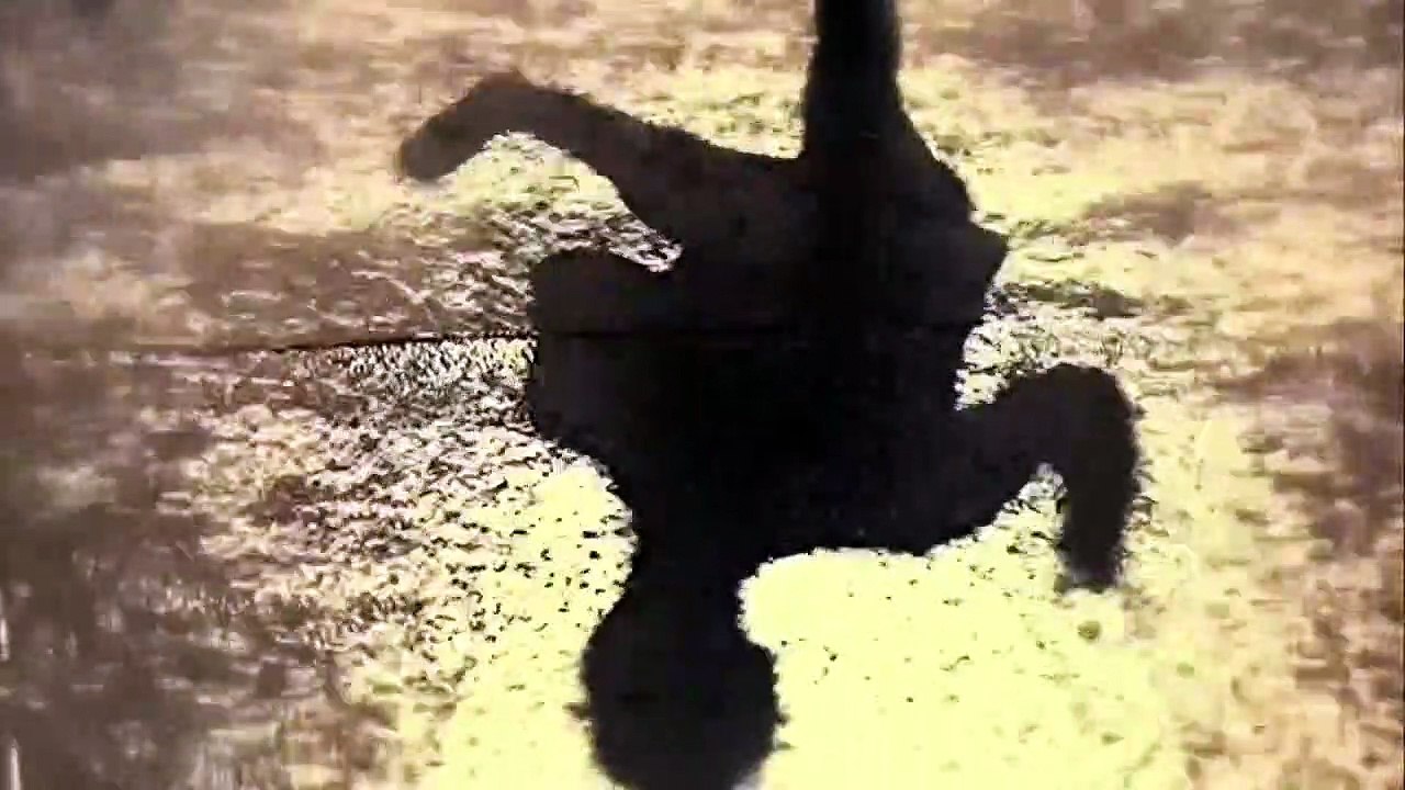 Jonas Brothers - Summer Rain (from “Jonas L.A.”)