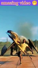 Funny video bangladeshi || funny video new || funny video 2023