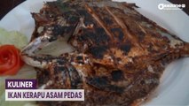 Nikmatnya Mencicipi Kuliner Ikan Kerapu Asam Pedas di Pandeglang Banten