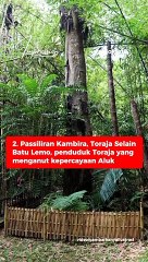 5 Tradisi Pemakaman Unik di Indonesia, Menyeramkan Sampai Mewah