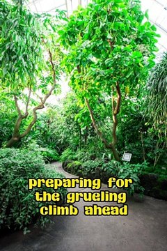 Unleashing the Power Within: The Inspiring Story of Lucas and his Triumph over Adversity