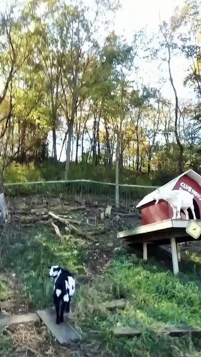 Enchanted Valley Acres Cross Plains, WI 2022