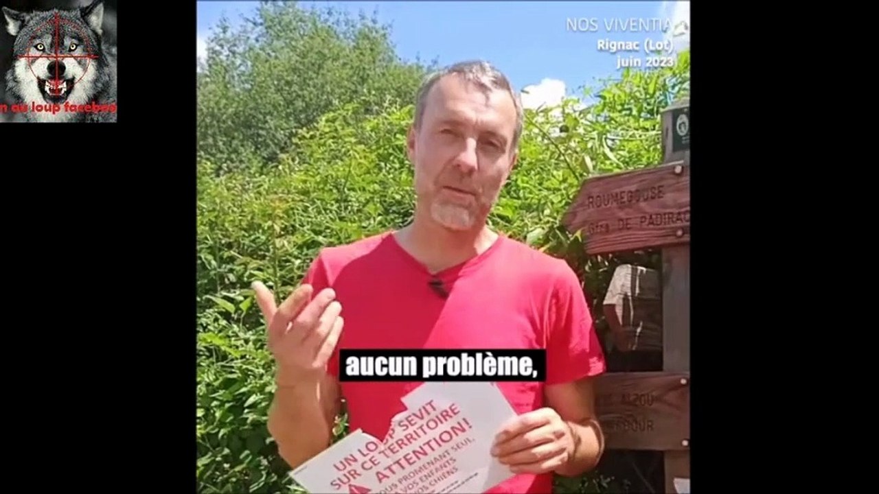 Ma réaction à cette vidéo méprisante de Pierre Rigaux
