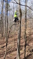 Tree Climber Rescues Cat