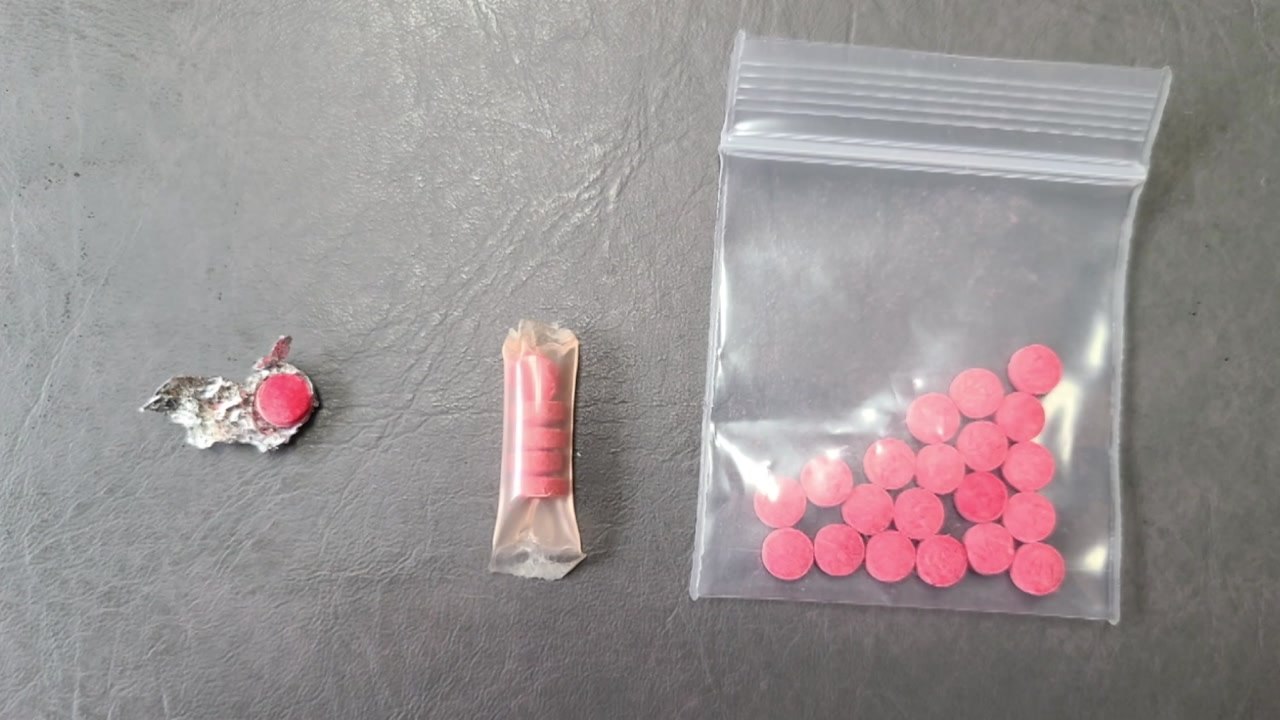 태국인 전용 클럽에서 마약 유통한 일당 무더기 검거 / YTN