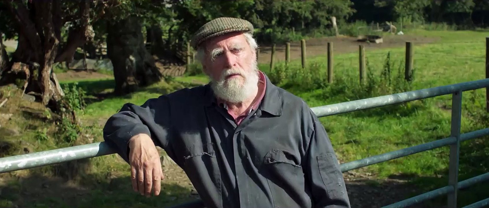 And Then Come The Nightjars Trailer OV