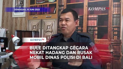 Berulah Lagi, Bule Nekat Hadang dan Rusak Mobil Polisi di Bali Berujung Ditangkap!