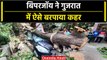 Cyclone Biparjoy: Gujarat में उखड़ गए पेड़, NDRF का रेस्क्यू ऑपरेशन जारी| वनइंडिया हिंदी #Shorts