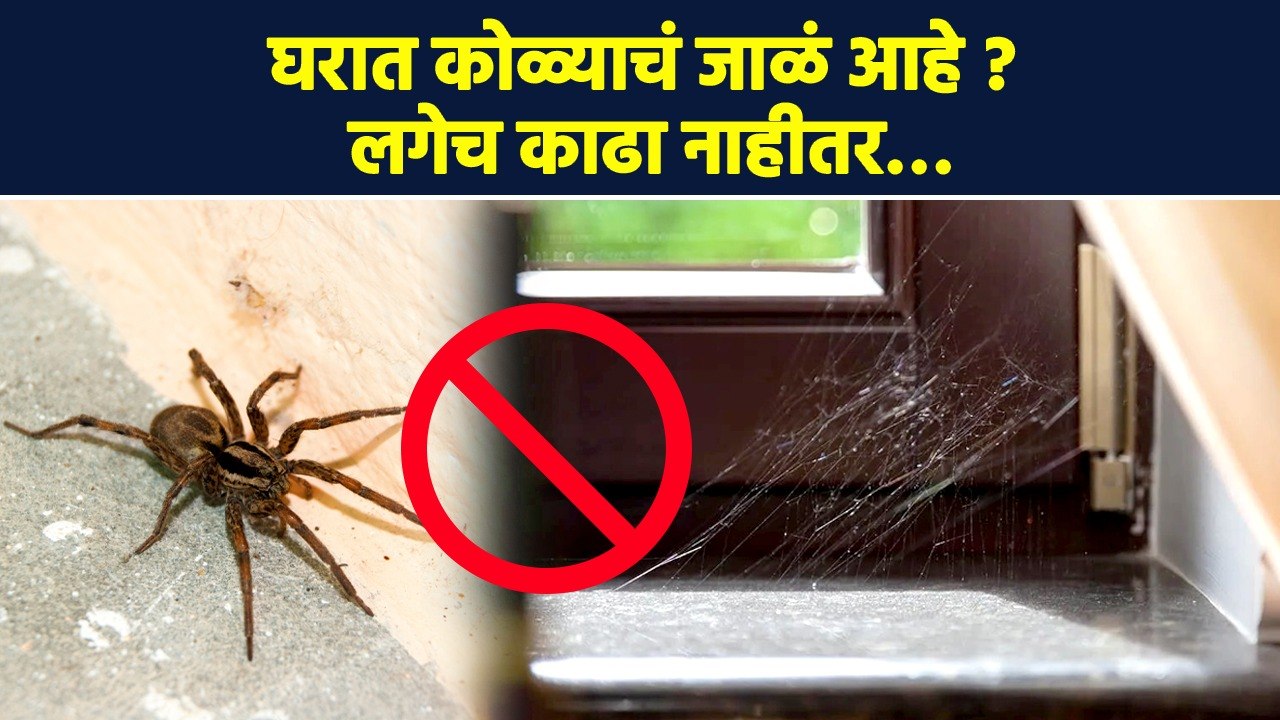 घरात कोळ्याचं जाळं कधीच होणार नाही | Home Cleaning Tips | Cleaning Tips | Cleaning Hacks | RI3