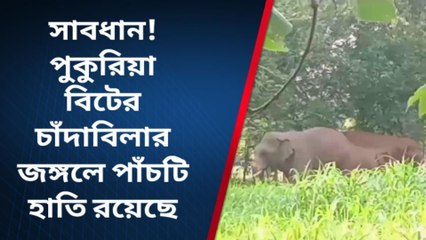 ঝাড়গ্রাম : সাবধান! পুকুরিয়া বিটের চাঁদাবিলার জঙ্গলে পাঁচটি হাতি রয়েছে