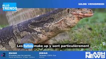 TikTok : Ce maquillage miraculeux pour camoufler les cernes !