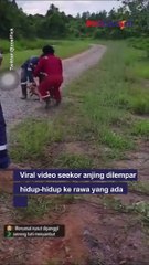 Warganet Geram! Pelaku Pelempar Anjing Ke Rawa Berisi Buaya Malah Tertawa