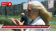 İzmir Körfezi'ni kirleten algleri katma değerli ürüne çevirecek