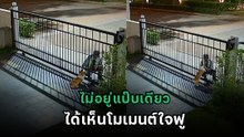 ไวรัล 4 ล้าน เจ้าของไม่อยู่บ้านแป๊บเดียว เปิดกล้องเจอฉากใจฟู เอ็นดูมากจริง ๆ