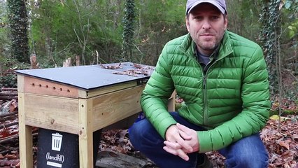 How To Raise Soldier Fly Larvae In Freezing Temperatures