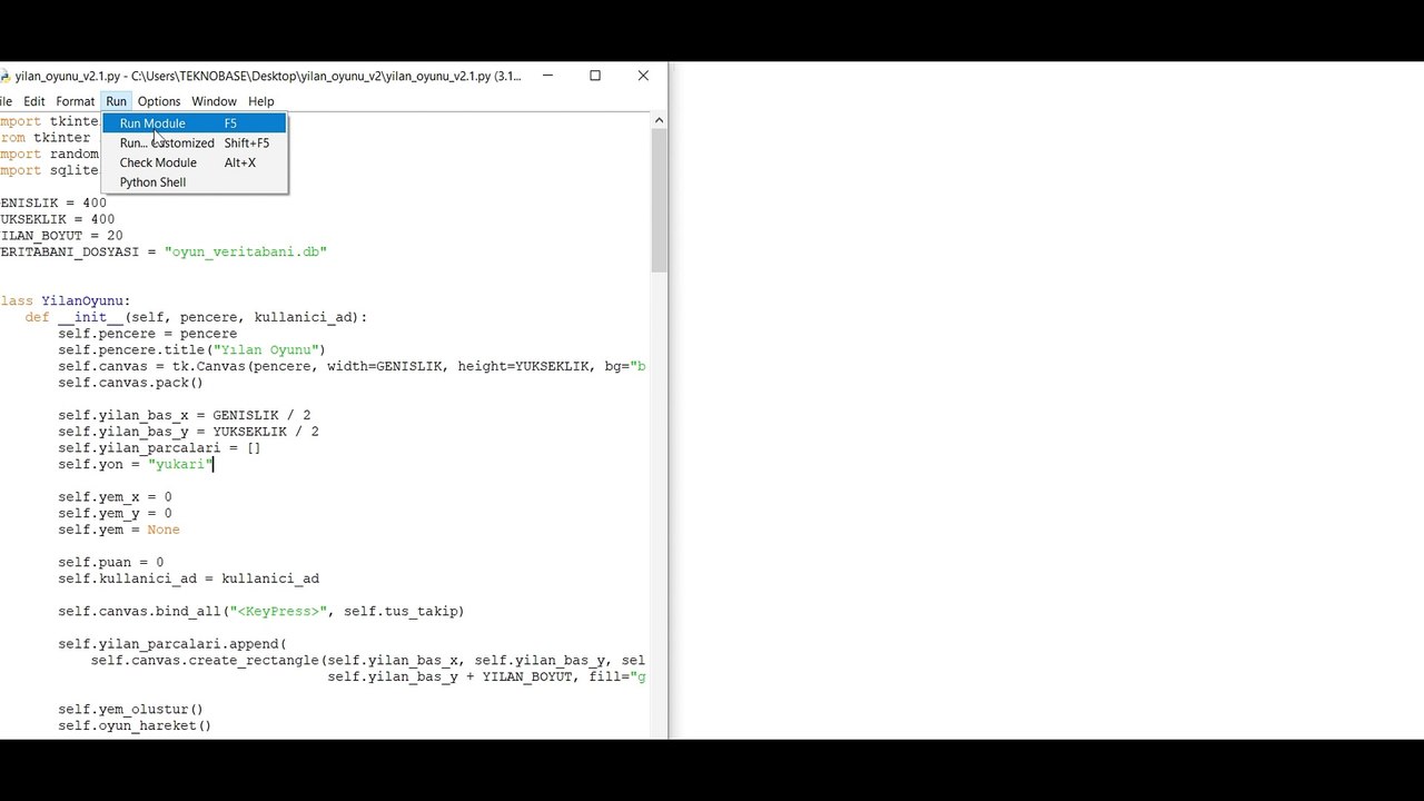 Python İle Veritaban Kayıtlı Yılan Oyunu