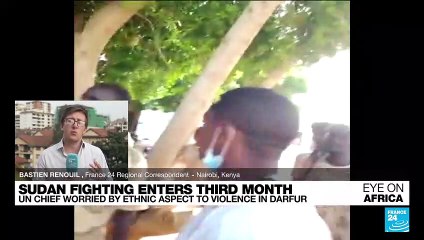 Sudan fighting: UN chief worried by ethnic aspect to violence in Darfur