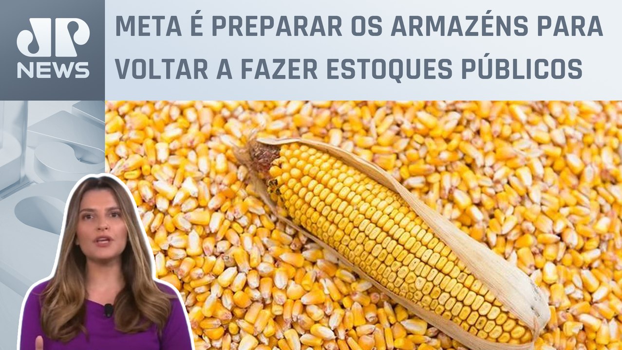 Kellen Severo: Conab ainda não tem plano para compra do milho