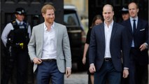 Portrait of Prince Harry and Prince William removed from gallery. Was it Kate Middleton’s fault?
