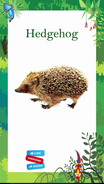 जंगली जानवरों के नाम | Wild Animals | Wild Animals Name | Wild Animals for Kids | Kids Video #shorts