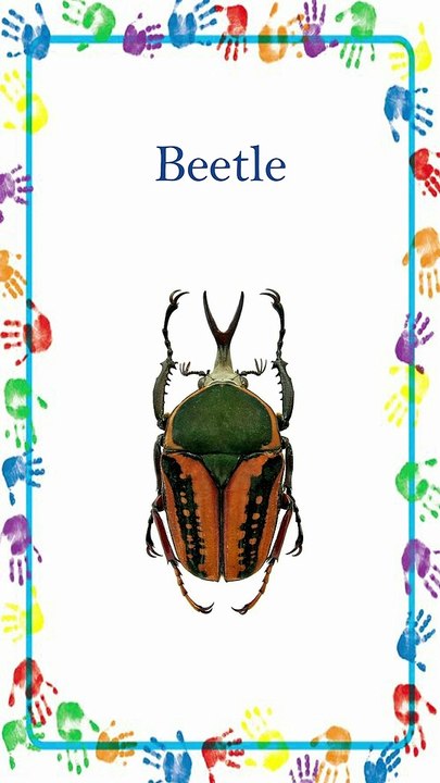 कीड़े मकोड़ों का नाम | Insects Name | Insects Name for Kids | Video for Kids |  Insect #shorts  #viral