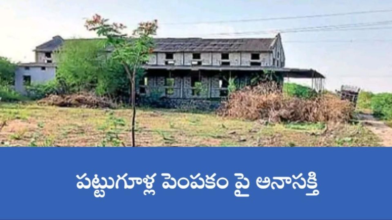 గద్వాల: తగ్గిపోయిన పట్టుగూళ్ల పెంపకం..