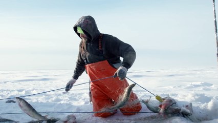 Ice Vikings Season 1