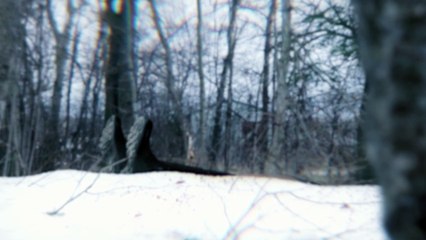 Almost Unsolved Season 1