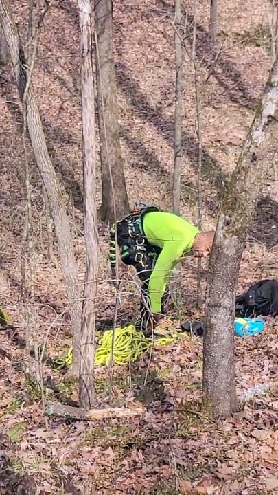 Tree Climber Rescues Cat