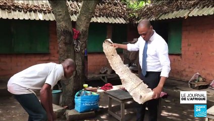 Bénin : IOTA SO, la start-up qui connecte les objets du quotidien